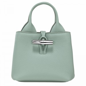 Celadon Longchamp Le Roseau XS Handbag - Leather UK | 10278HFP282